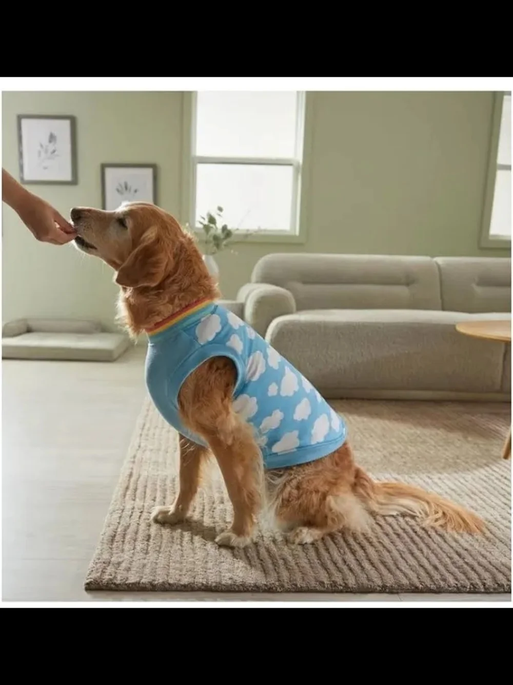Wag-a-tude Cloud Print Blue Dog Jacket with Zipper